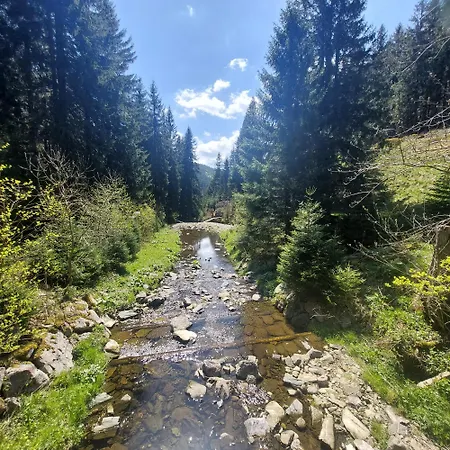 Studia Centrum Daire Karpacz