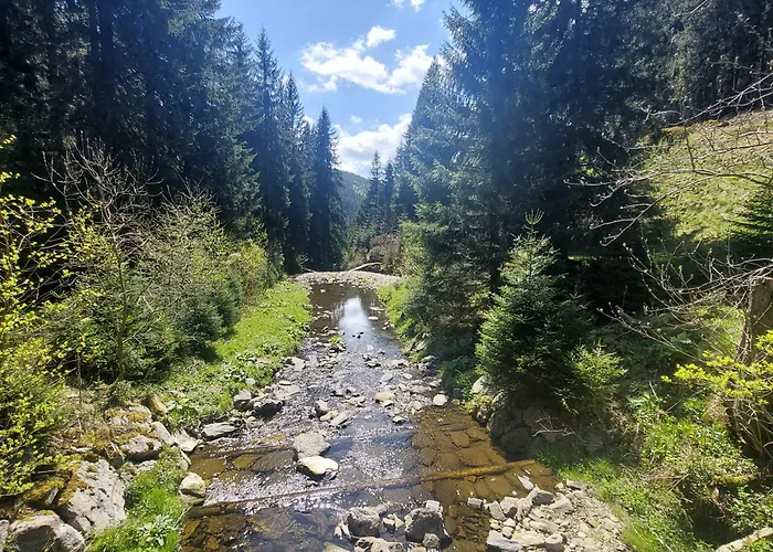 Studia Centrum Appartement Karpacz